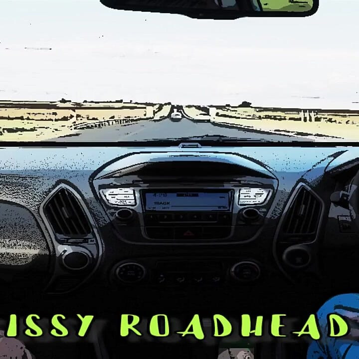 Brandy the Homo Shemale går i stykker i en sissy Roadhead-stil
