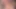 Liberty_Xo dildoyla mastürbasyon yapıyor ve amıyla oynuyor