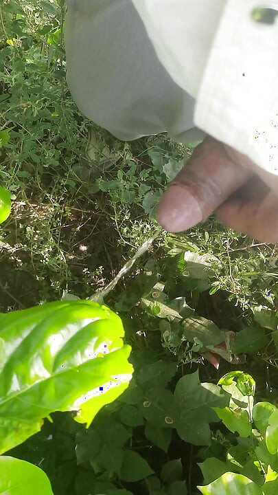 Am făcut sex printre frunze, până și frunzele s-au jenat gândindu-se la asta.