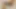 Sexy ehefrau führt buttplug ein und hat einen guten ritt mit orgasmus