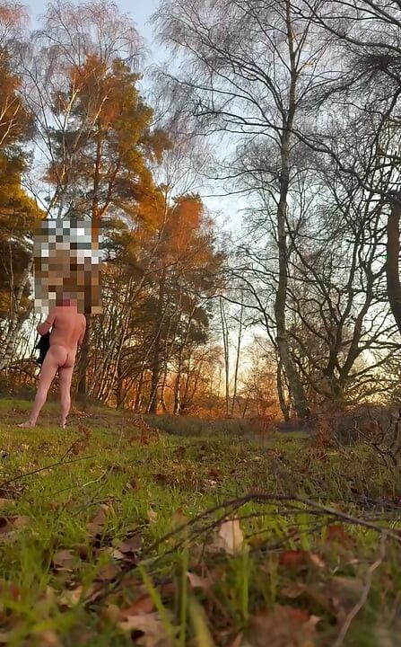 Caminata desnuda durante el bosque, frío y ventoso