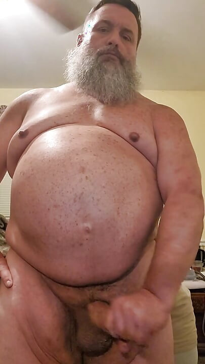 Bearded Bear Morning Bate Time