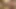 Sexy Trans Fucked Deep in Ass in Bedroom