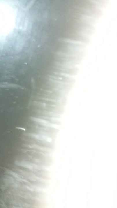 ディルド・アナルグランデ