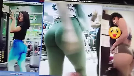 マルシア兼トリビュート