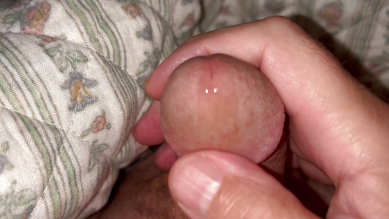 Wet morning cock