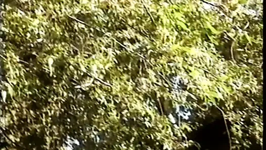 Tiga pelacur kulit hitam nyepong dan ngentot tiga pria kulit putih di taman