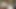 Big Hoody Cummies Teaser