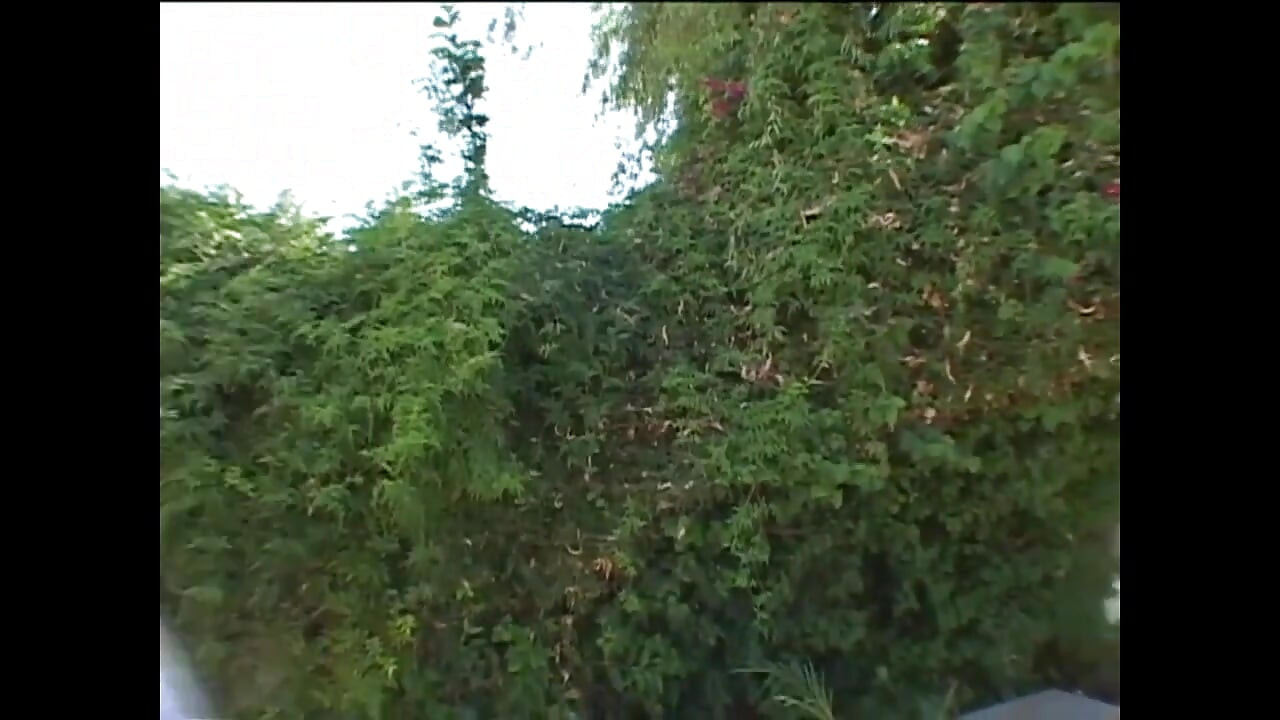 Busty with Anal Cravings