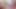 Luna Luxe Vibrator Compilation Video Loop
