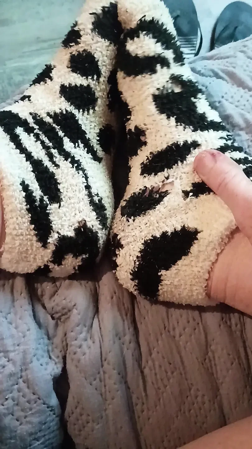 Quit stealing my socks jack