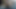 20 centimeter penis in HD