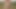 Hunk masturbating in nature