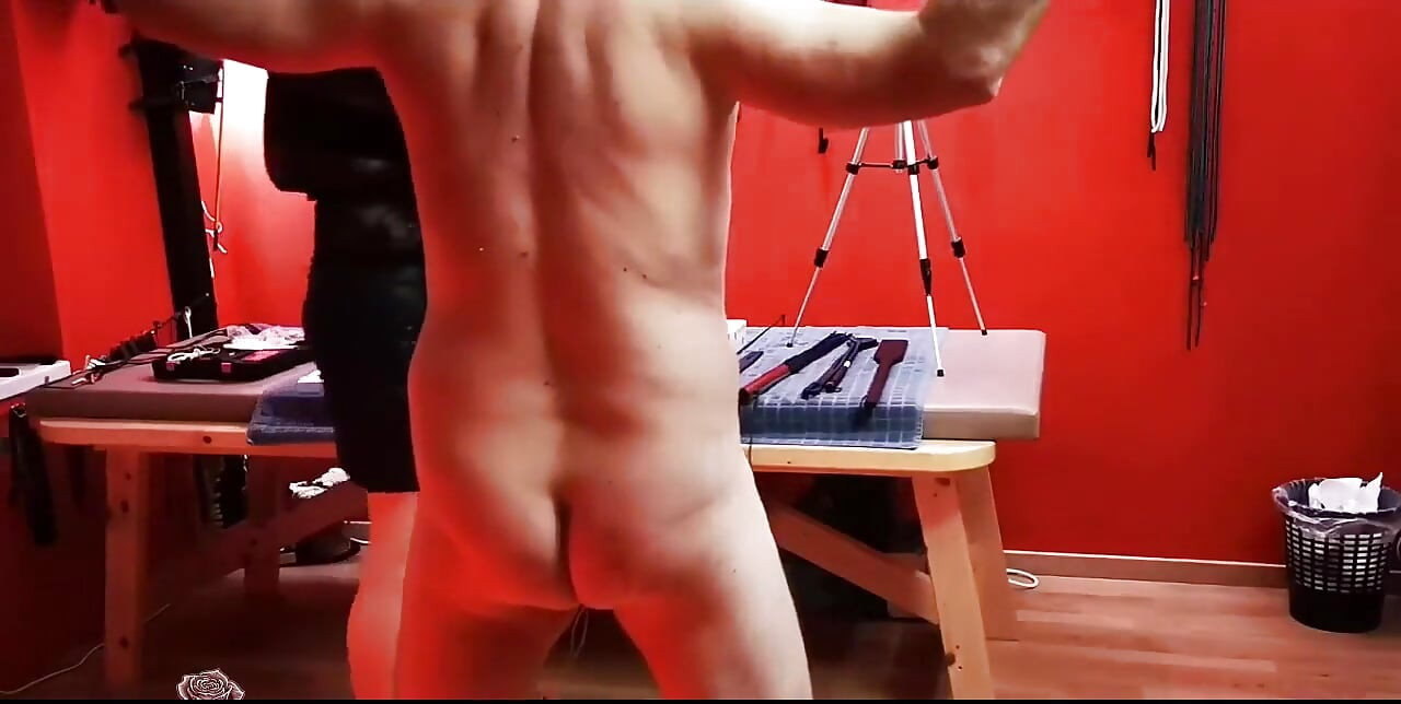 911662902006530049