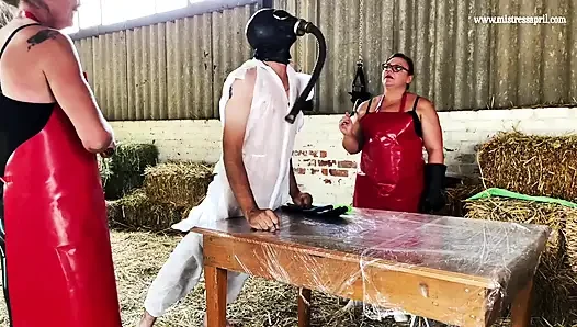 Dominatrix sahibe April - sağım ahırından sadece tıbbi deneyler