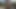 Rubbing flaccid cock and big balls against a tree trunk and pissing on it on a deserted beach