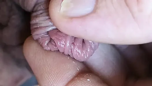 Softee Lil Willy