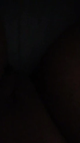 Tombul Hint kedi