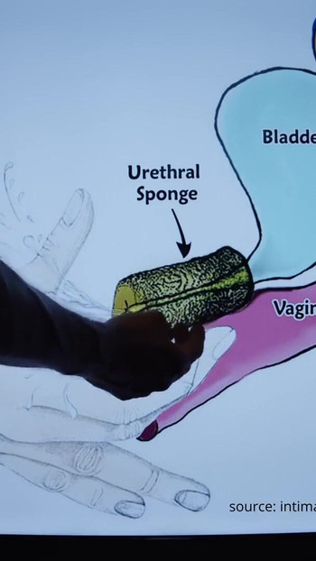 Moment palpitant de la "Cum să! TUTORIAL CU EJACULARE - Mr PussyLicking"