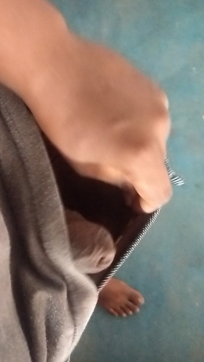 Koi to bulalo muje