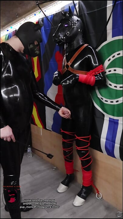 Rubber Pony Bound and Milked