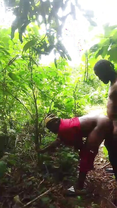 Meet Him on a Good Day in the Bush