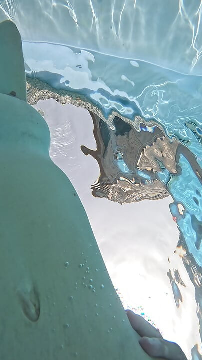 Underwater Blowjob doggy missionar creampie
