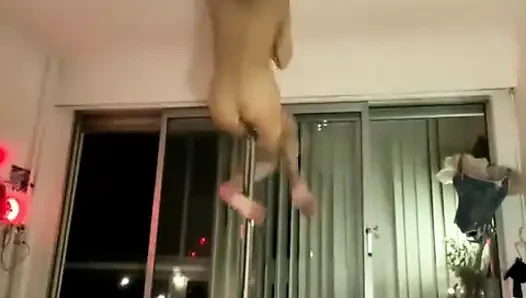 Провокационный