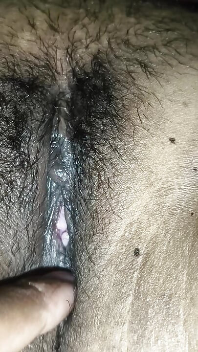 Jilatan dasi Bengal