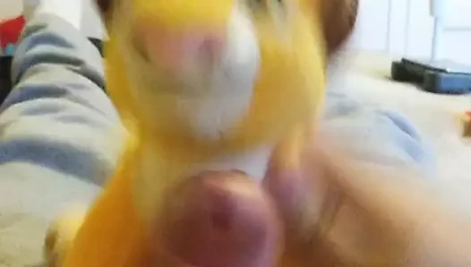 Simba plush