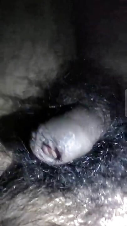 My dick is hungry for pussy and asshole