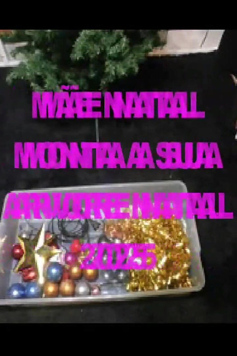 Stepmother Christmas Assembles Her Christmas Tree 2025