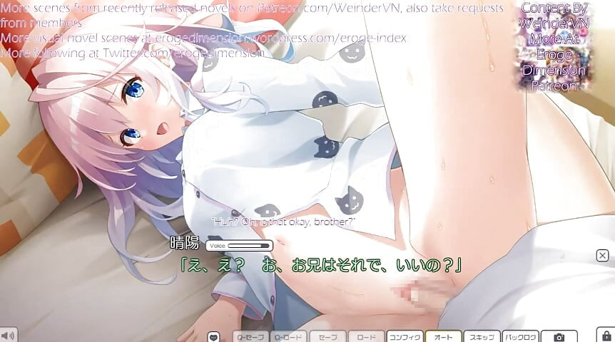 Surechigau Kyoudai No Kowareru Rinrikan Scene10-13