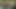 Amcık yalayan amcık bahçede anal sikiliyor