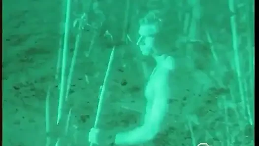 Absolute Aqua