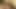 Sexy German BBW fingering her pussy in the middle of the woods
