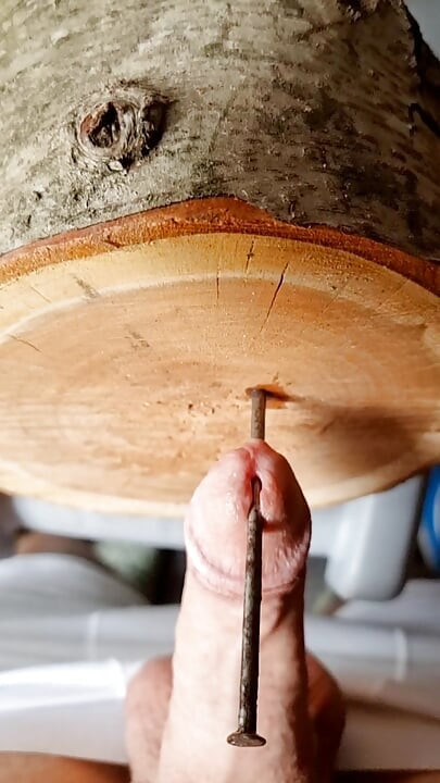 Punishing the tail and nailing it to the wood