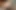POV Passionate Sex with My Stepsister, can You Cum Inside My Pussy?