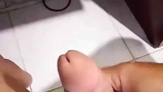 meu pal