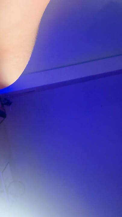 ハレが戻ってきた。