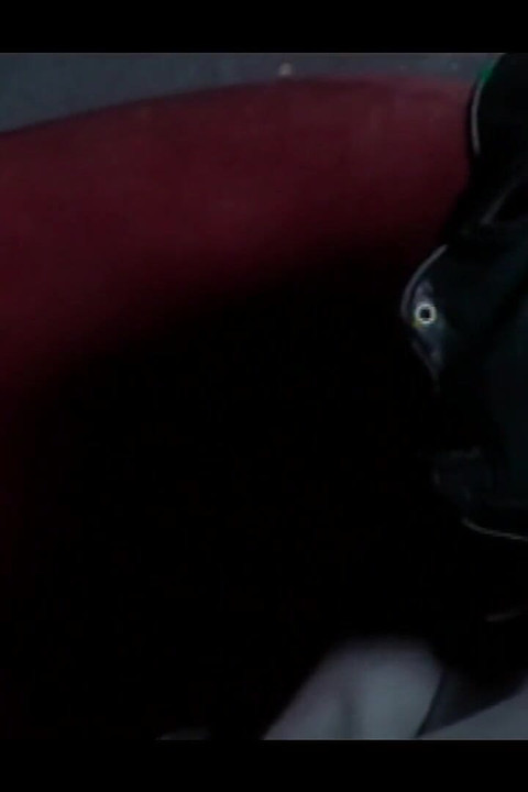 Hardcore Sex With My Friendship Plus