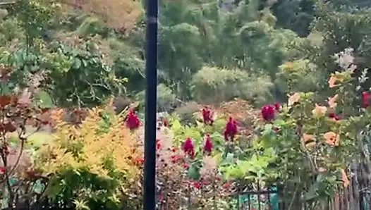 "Siang yang tidak diharapkan"