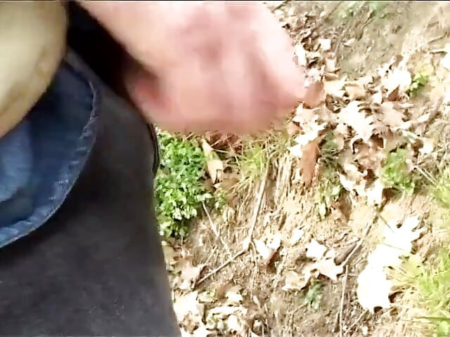 Andrea's Stepmom in the park make sex with young gays