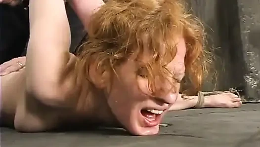 Sye Rena