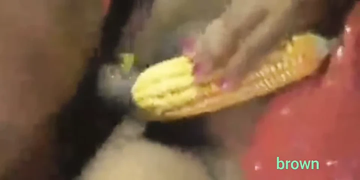 Village girl pussy fuck