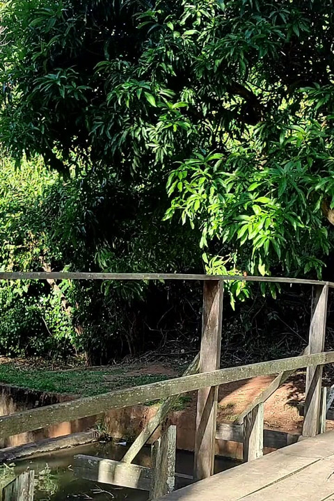 Fucking behind the trees in a park with a BBC