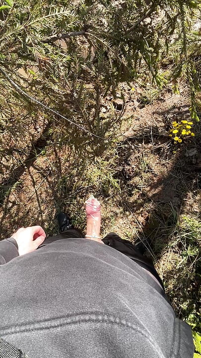 Jerk off in the forest
