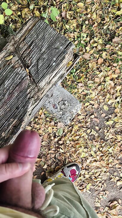 Bulgarian thick cock gets a bulge and spurts cum on a bench in the city park.