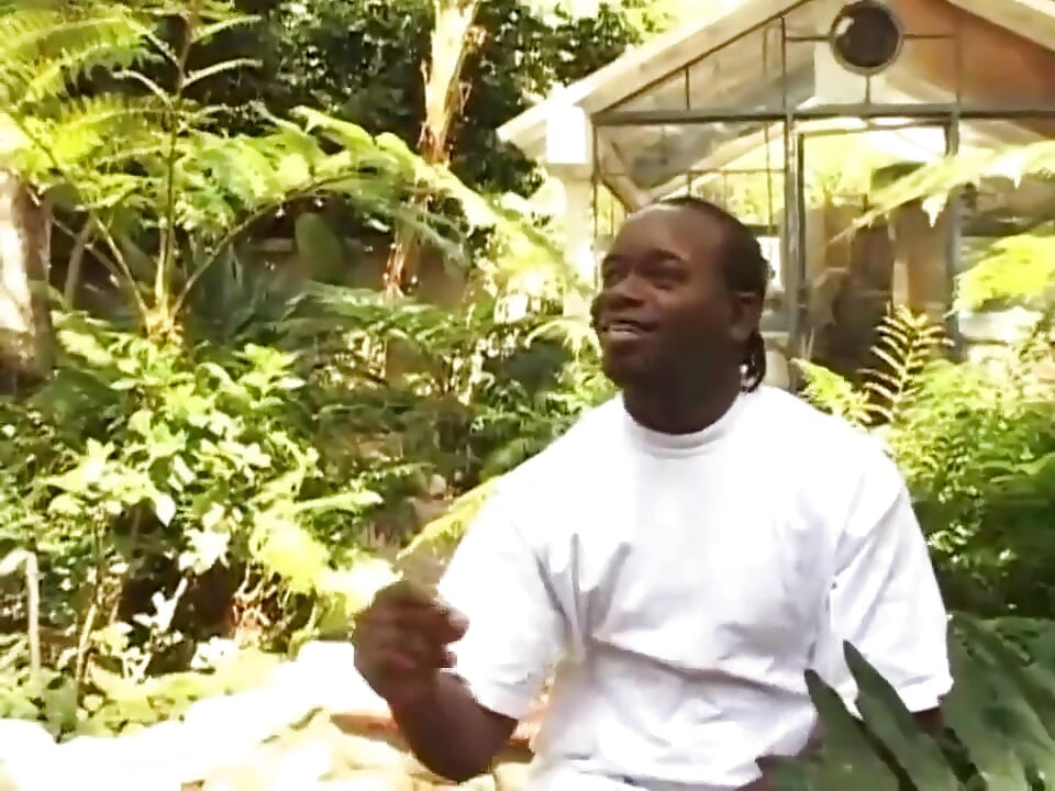 Big black cock huge black ass penetrated
