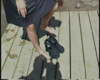 Pratinjau video